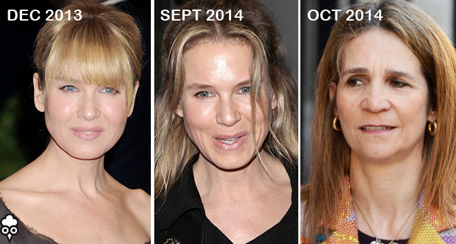 Gallota Elena Zellweger